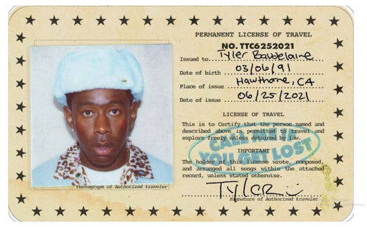 TYLER THE CREATOR SKIN